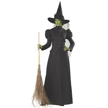 Women'S Witch Classic Deluxe Costume