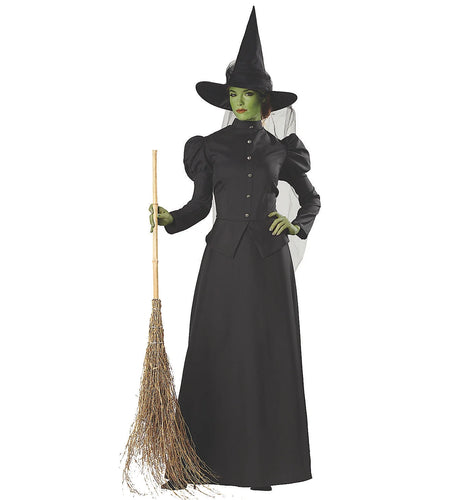 Women'S Witch Classic Deluxe Costume