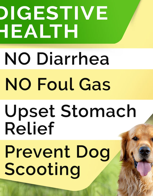 Load image into Gallery viewer, Probiotics, for Dogs, Bacon, 120 Soft Chews, 10 Oz (288 G)

