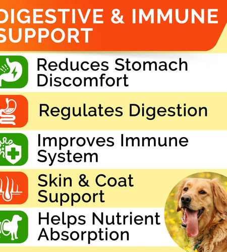 Probiotics, for Dogs, Bacon, 120 Soft Chews, 10 Oz (288 G)