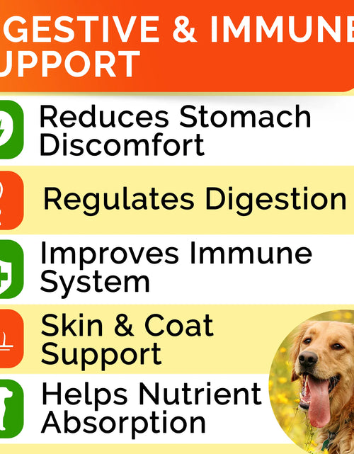 Load image into Gallery viewer, Probiotics, for Dogs, Bacon, 120 Soft Chews, 10 Oz (288 G)
