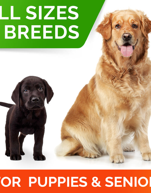 Load image into Gallery viewer, Probiotics, for Dogs, Bacon, 120 Soft Chews, 10 Oz (288 G)
